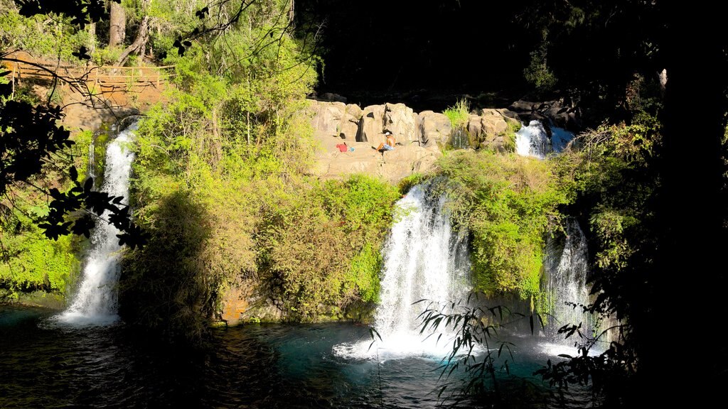 Ojos del Caburga ofreciendo selva, un lago o espejo de agua y una cascada