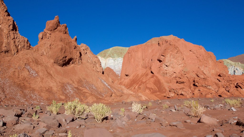 Valle Arco Iris que incluye vistas al desierto y montañas