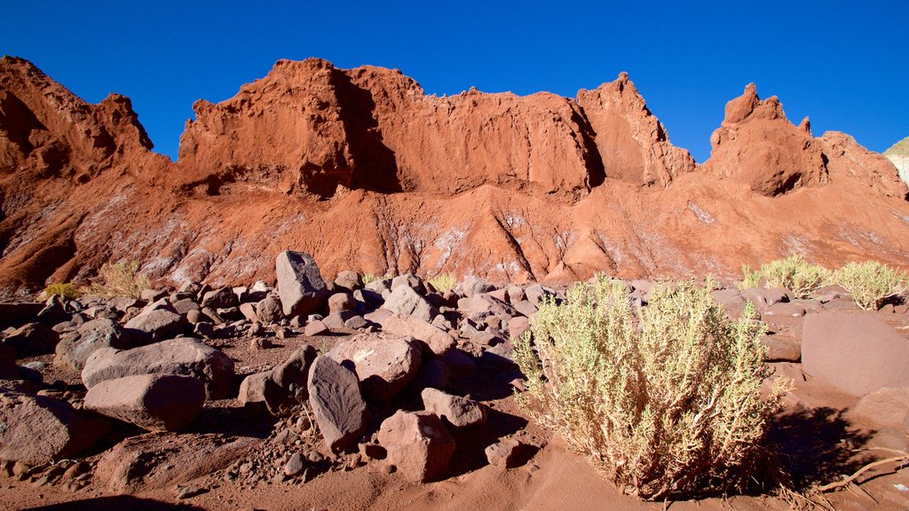 Arco Iris Valley showing mountains and desert views