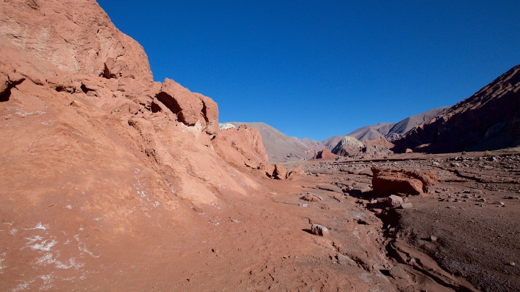 Arco Iris Valley showing desert views and landscape views