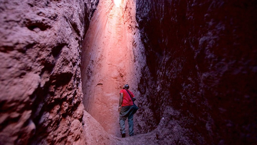 Valle Arco Iris mostrando vistas al desierto y también un hombre