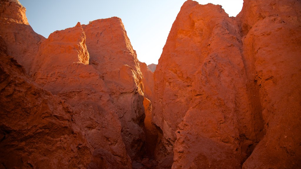 Arco Iris Valley which includes desert views