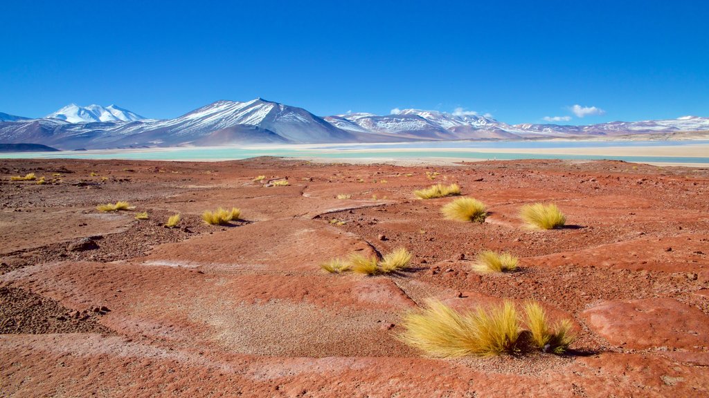 San Pedro de Atacama ofreciendo escenas tranquilas, un lago o abrevadero y vistas de paisajes