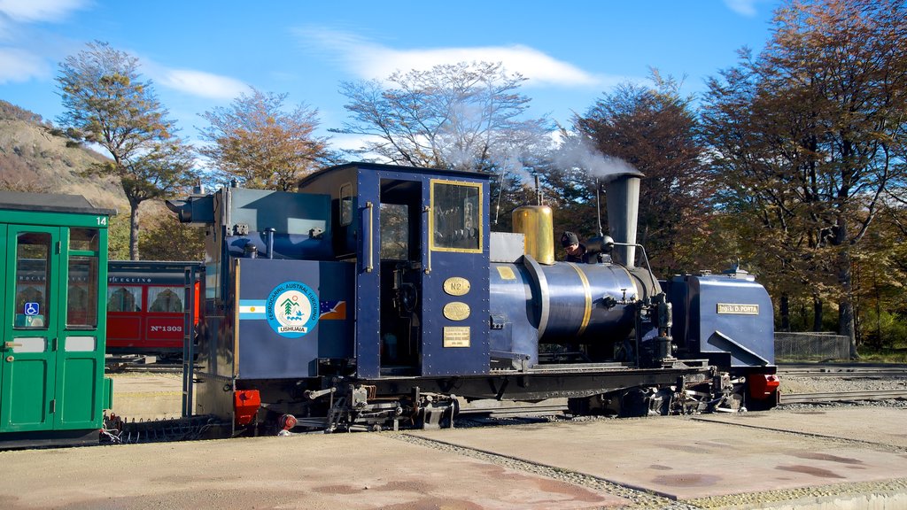 Estación Tren del Fin del Mundo caracterizando itens de ferrovia