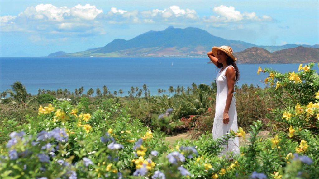 Nevis yang mencakup bunga liar dan pemandangan umum pantai maupun satu wanita