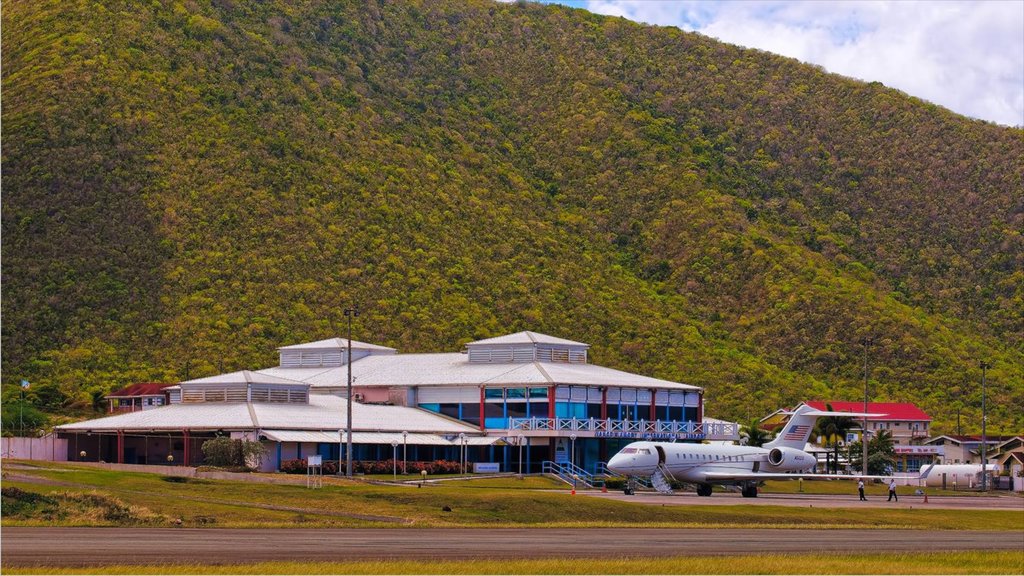 Nevis showing an airport and aircraft