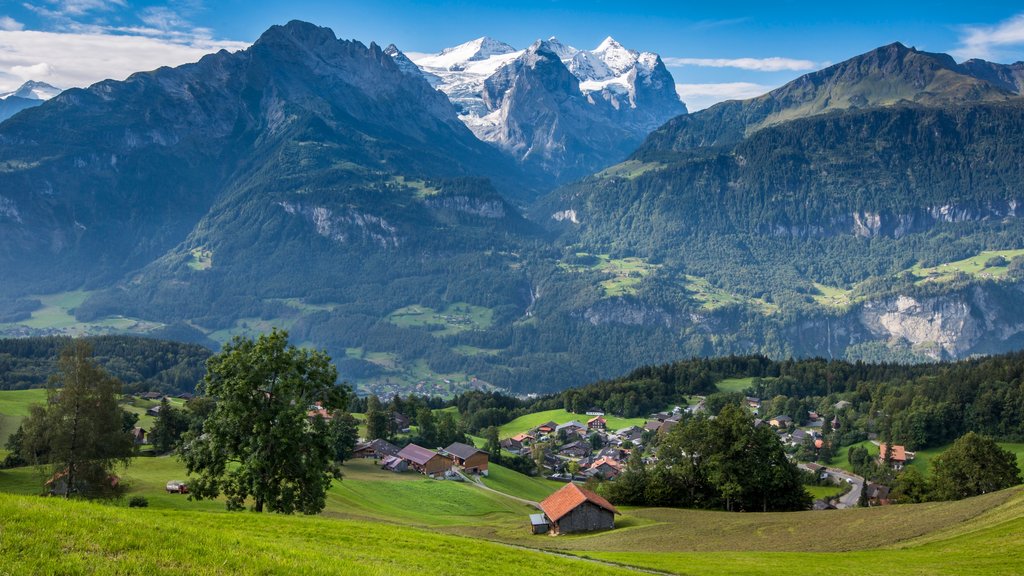 Hasliberg qui includes paysages paisibles et montagnes