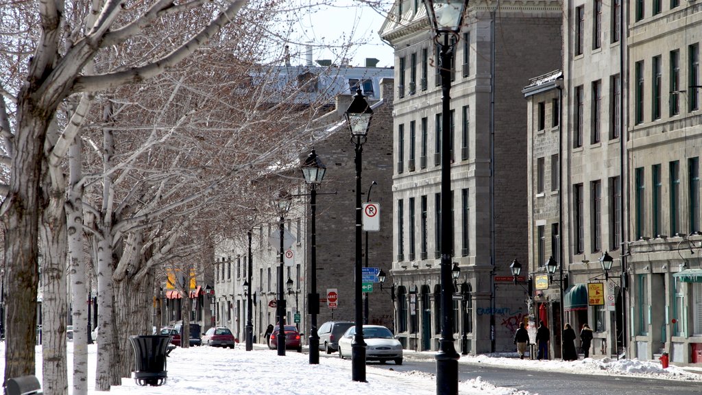 Old Port showing snow and a city