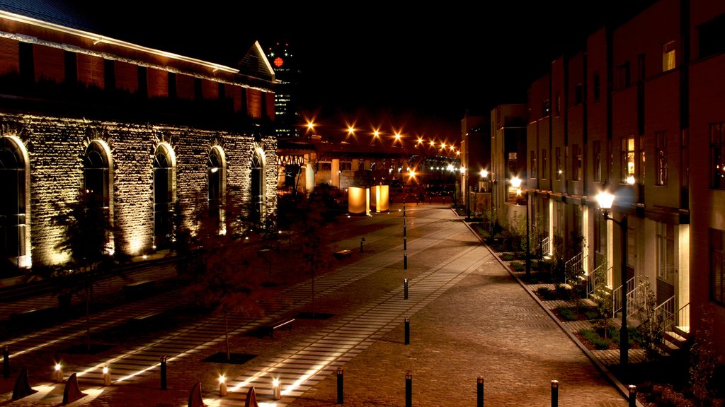 Puerto antiguo mostrando escenas nocturnas y una ciudad