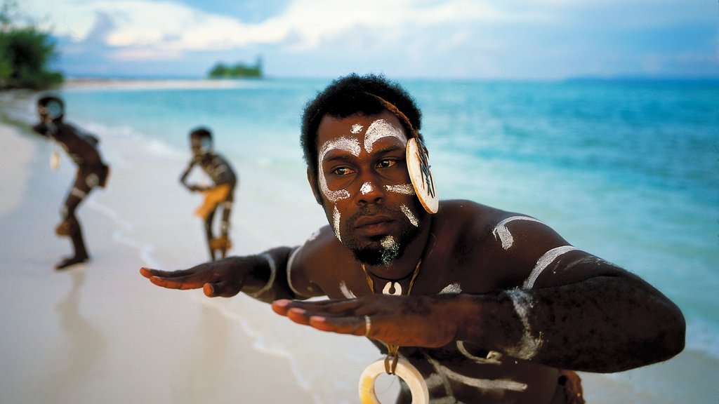 Solomon Islands featuring a sandy beach, general coastal views and indigenous culture