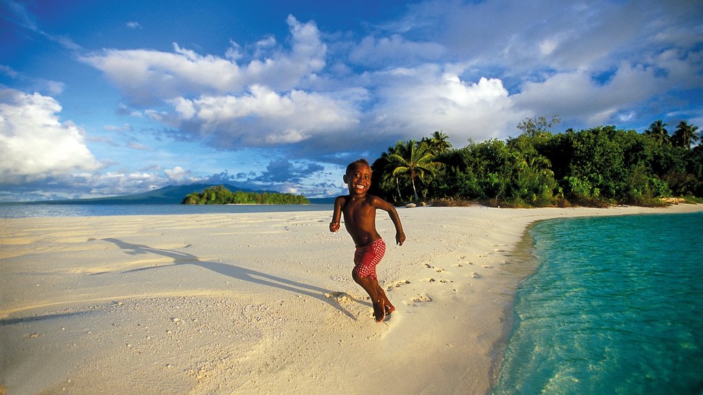 Islas Salomón ofreciendo escenas tropicales, una playa de arena y vistas generales de la costa