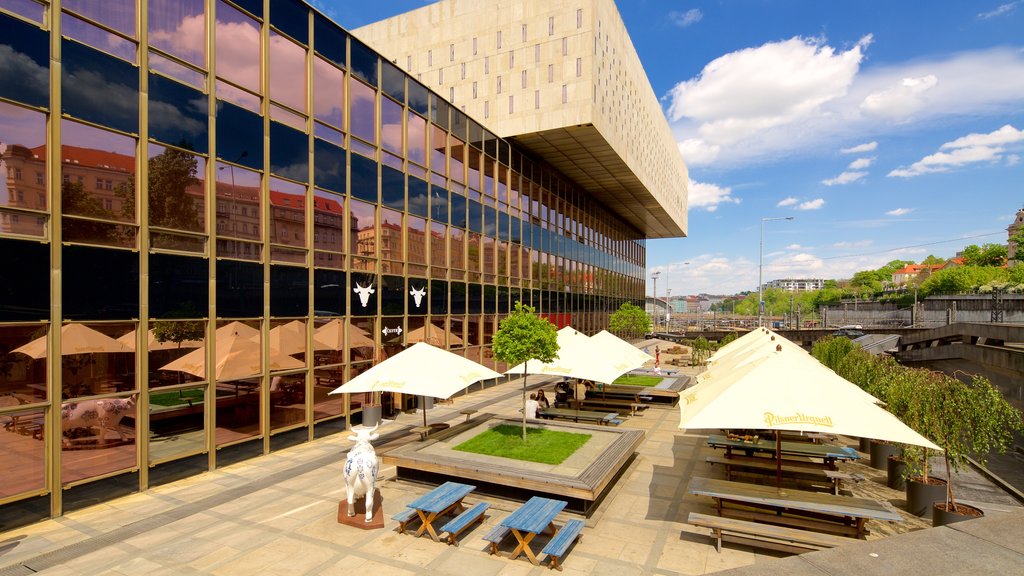 Czech National Museum showing a city