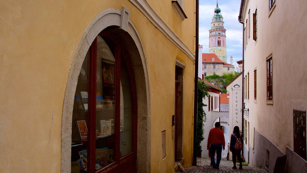 Cesky Krumlov showing a city