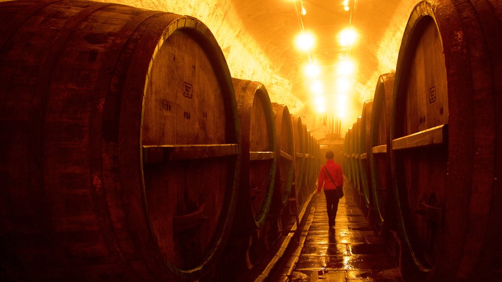 Pilsner Urquell Brewery featuring interior views