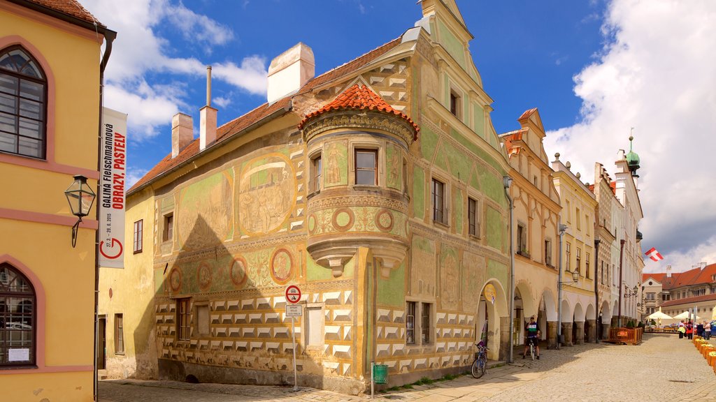 Telc showing a city