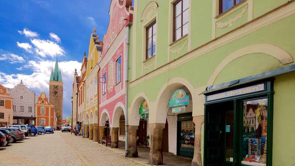 Telc showing a city