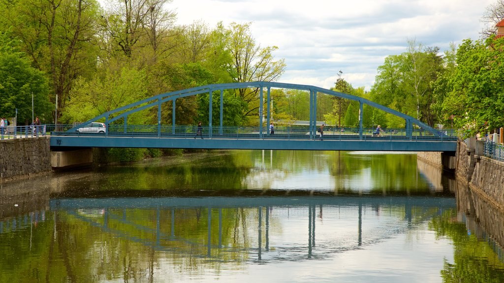 Ceske Budejovice showing a river or creek and a bridge