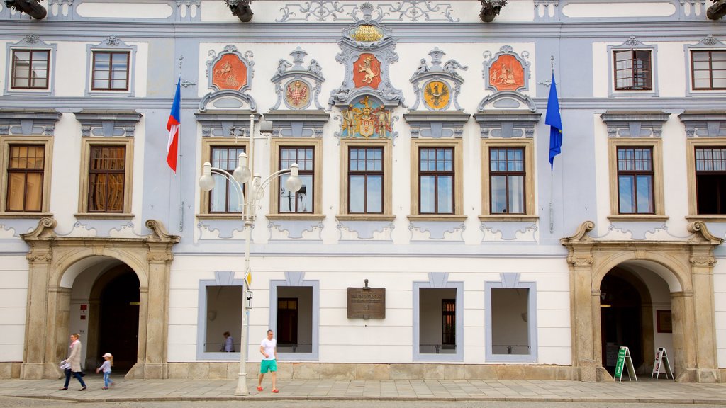 Ceske Budejovice showing a city