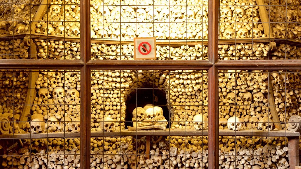 Sedlec Ossuary menampilkan objek warisan dan pemandangan interior