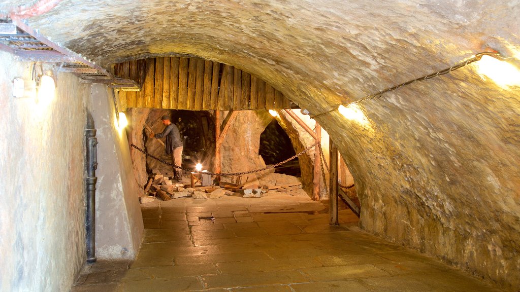 Pilsner Urquell Brewery featuring interior views