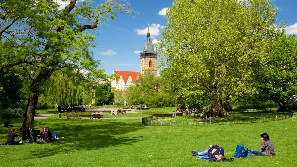 Charles Square showing a garden