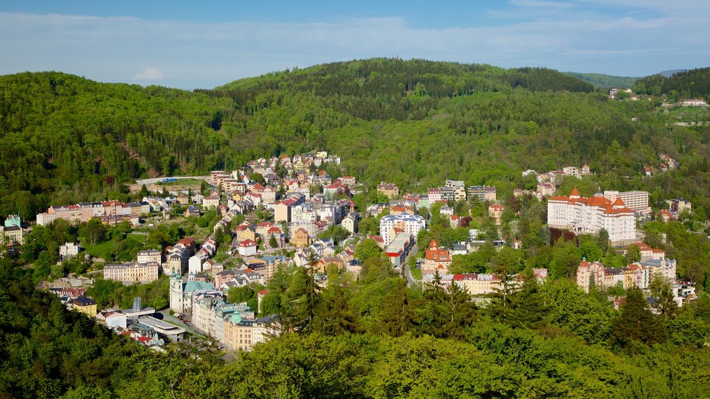 Diana Lookout Tower which includes forests and a city