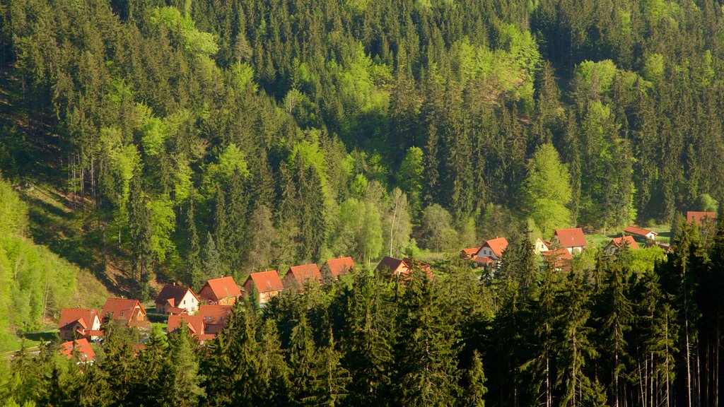 Diana Lookout Tower featuring a small town or village and forest scenes