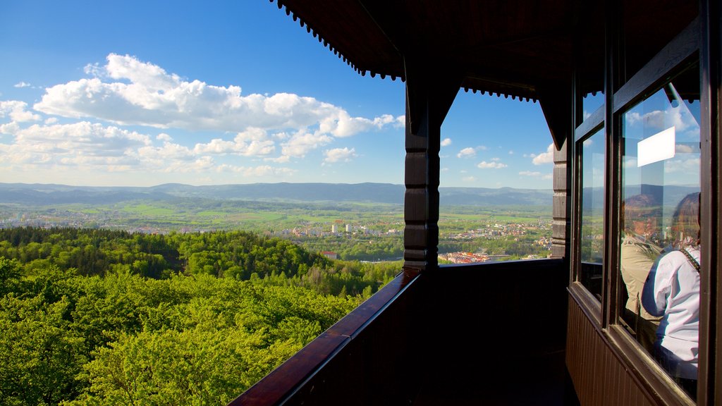 Atalaya Diana mostrando imágenes de bosques y vista