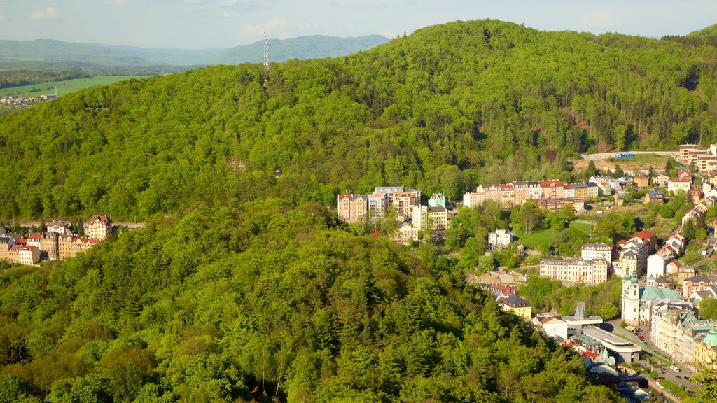 Diana Lookout Tower showing forests and a city