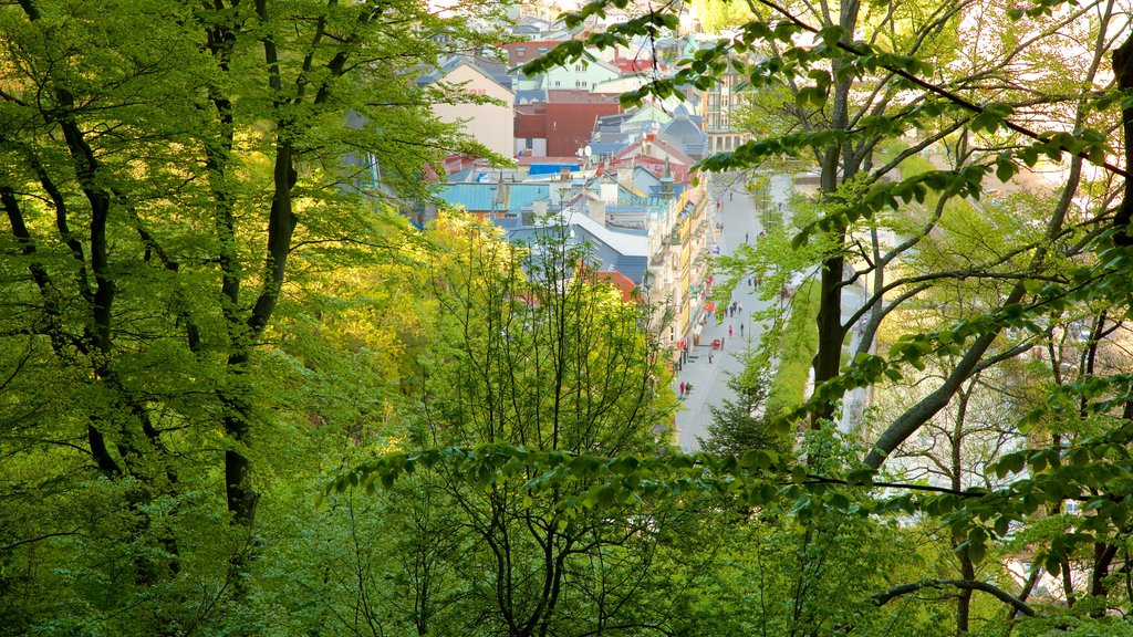 Diana Lookout Tower showing forest scenes and a city