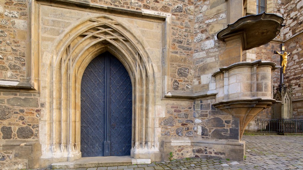 Katedrala sv Petra a Pavla ofreciendo elementos del patrimonio y una iglesia o catedral