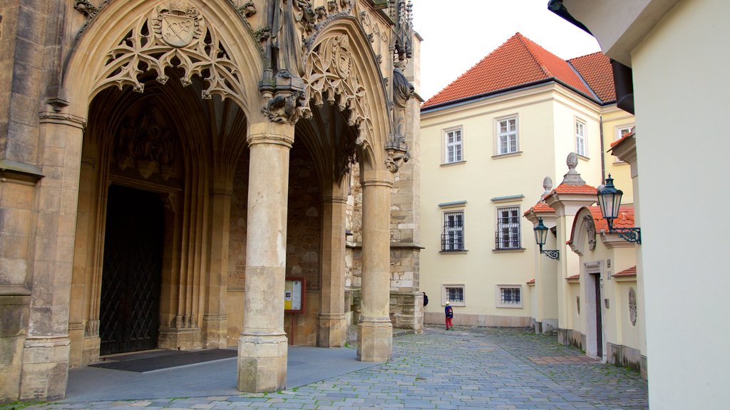 Katedrala sv Petra a Pavla que incluye elementos patrimoniales, una iglesia o catedral y arquitectura patrimonial