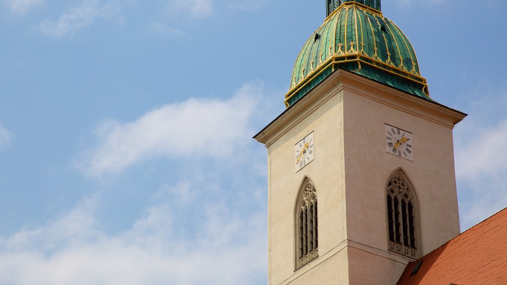 St. Martin\'s Cathedral showing heritage elements