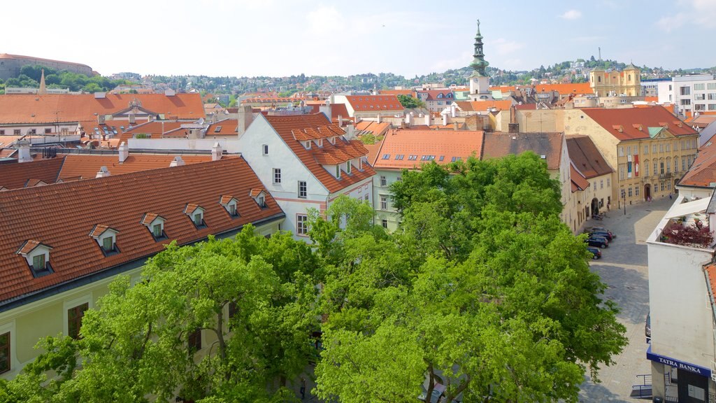 Bratislava showing a city