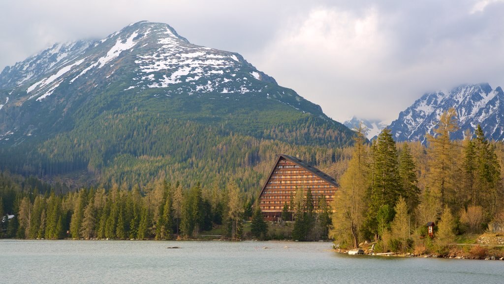 Strbske Pleso mostrando un lago o abrevadero, escenas forestales y montañas