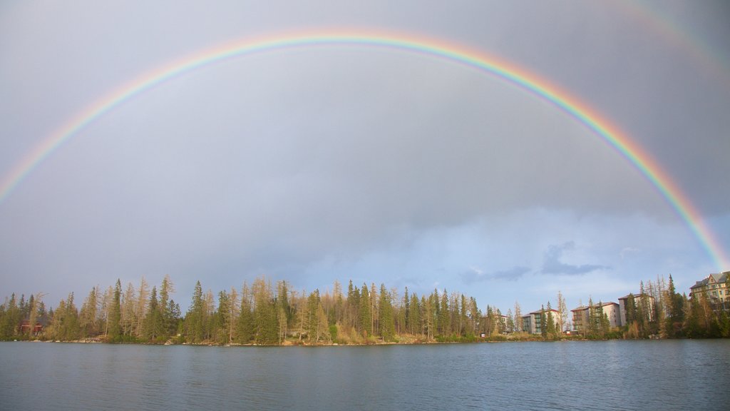 Strbske Pleso som viser skove og en sø eller et vandhul