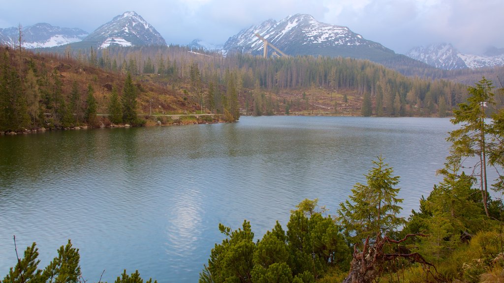 Strbske Pleso mostrando escenas tranquilas, un lago o espejo de agua y imágenes de bosques