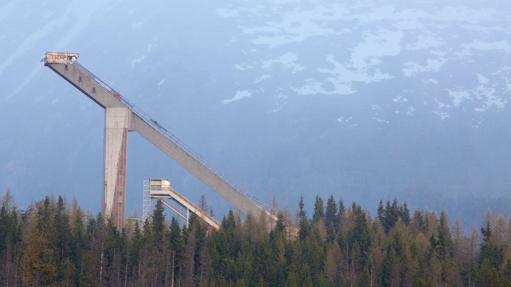 Strbske Pleso which includes forests