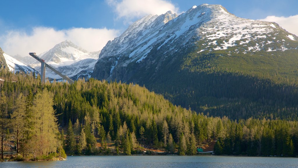 Strbske Pleso which includes a lake or waterhole, mountains and forest scenes