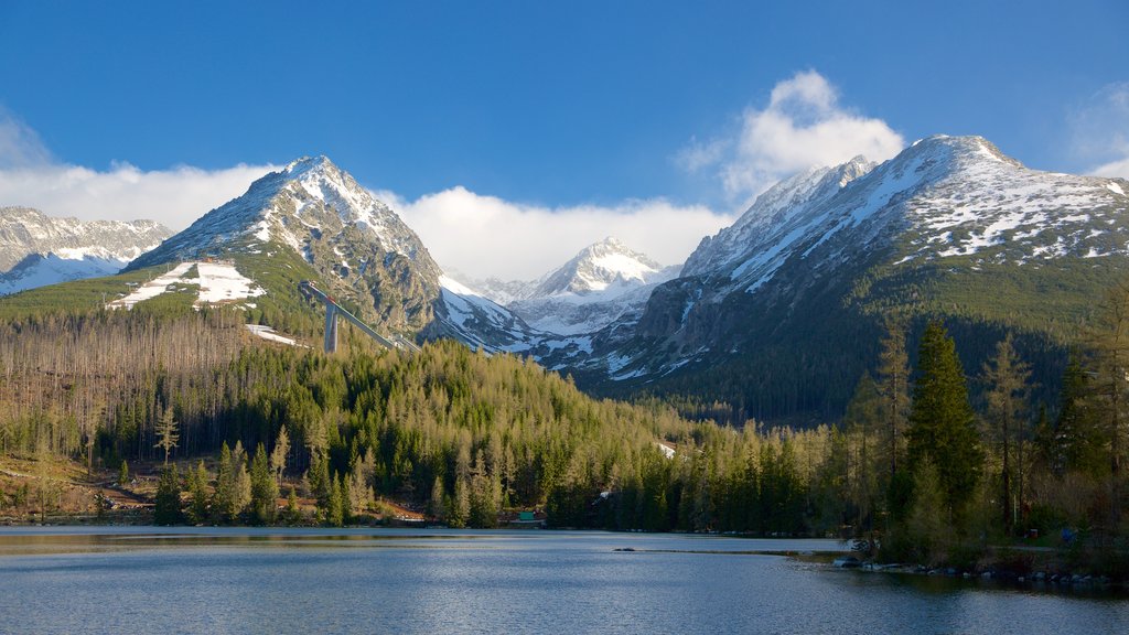 Strbske Pleso which includes forest scenes, a lake or waterhole and mountains