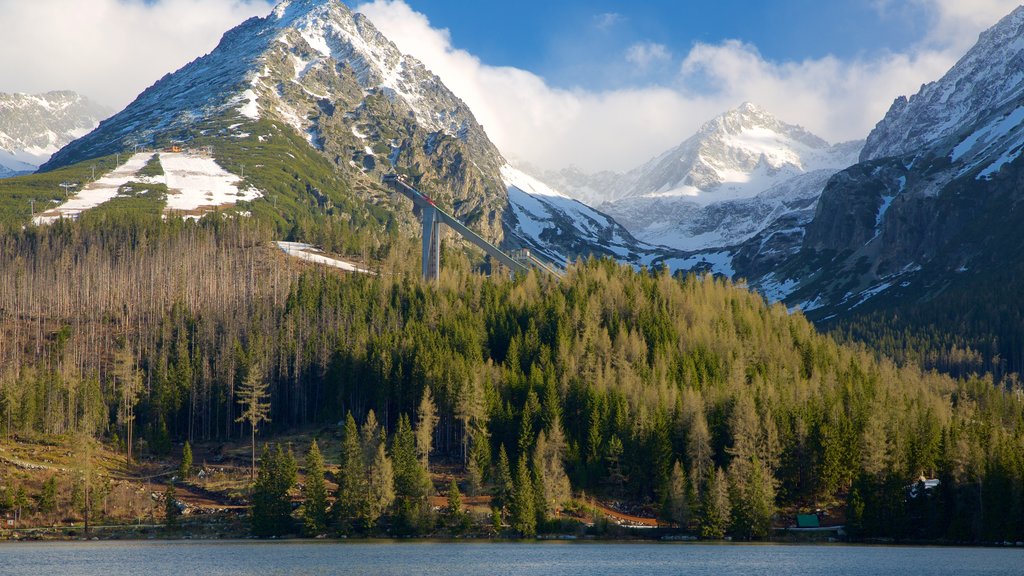 Strbske Pleso showing a lake or waterhole, forest scenes and mountains