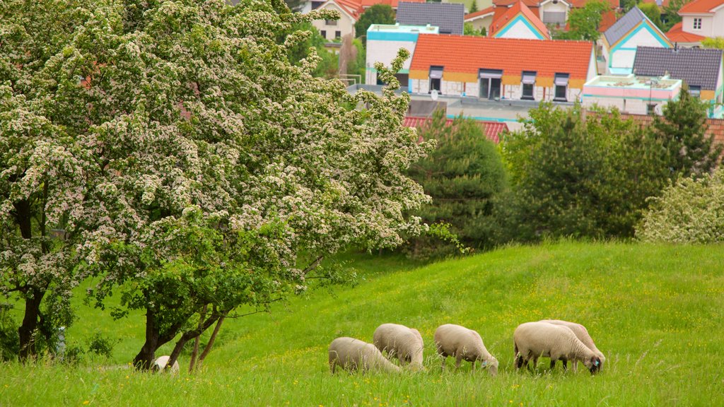 Castelo de Devin mostrando fazenda e uma cidade