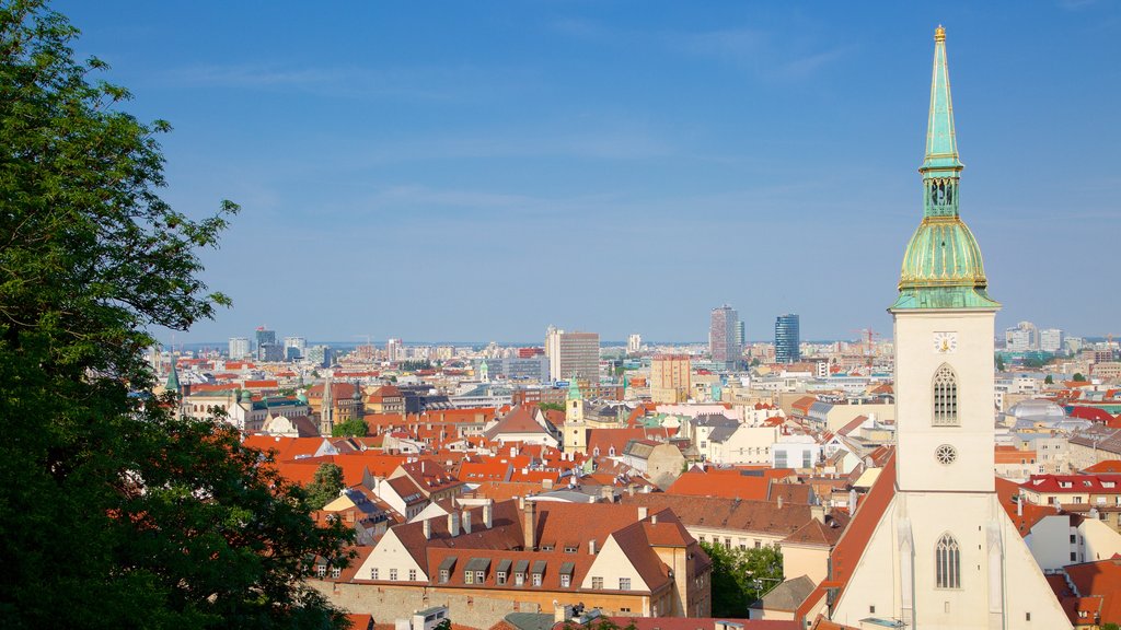 St. Martin\'s Cathedral showing a city and a church or cathedral