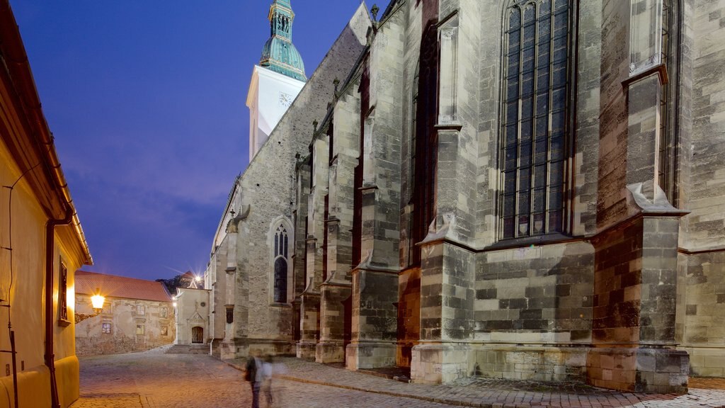 St. Martin\'s Cathedral showing a church or cathedral, heritage architecture and night scenes