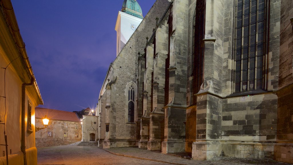 St. Martin\'s Cathedral showing heritage architecture, night scenes and a church or cathedral