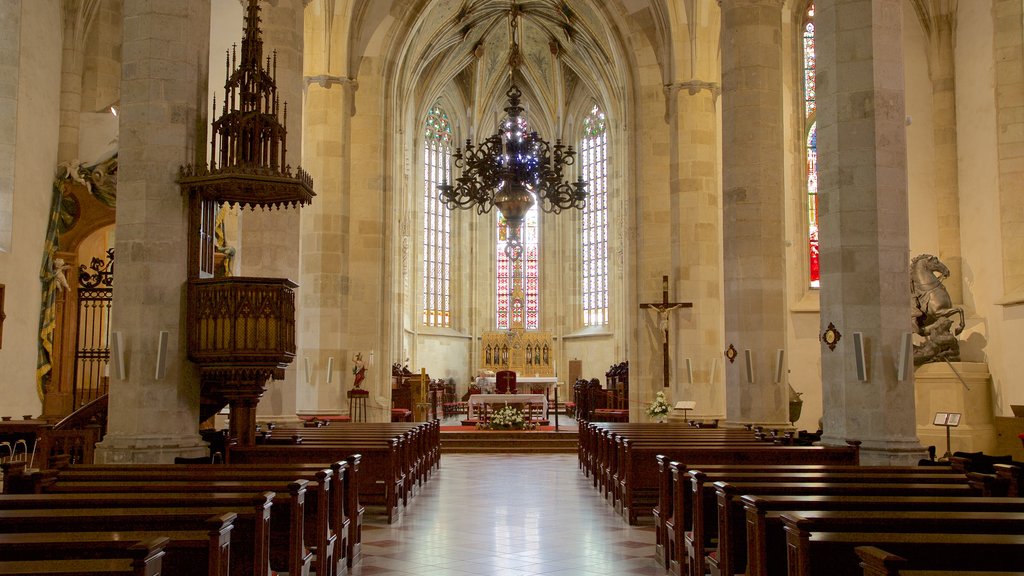 Catedral de San Mart&iacute;n que incluye arquitectura patrimonial, vista interna y una iglesia o catedral