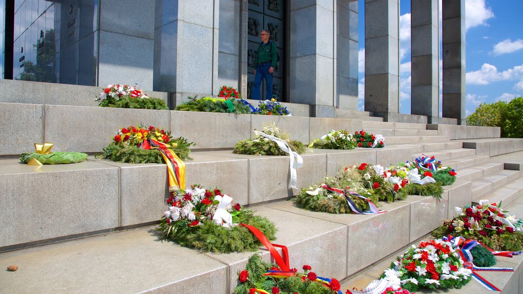 Slavin Monument showing a monument