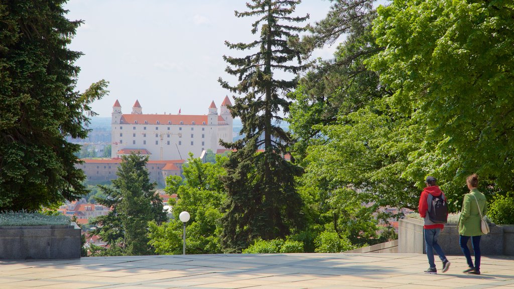 Slavin Monument qui includes une ville, un monument et un jardin