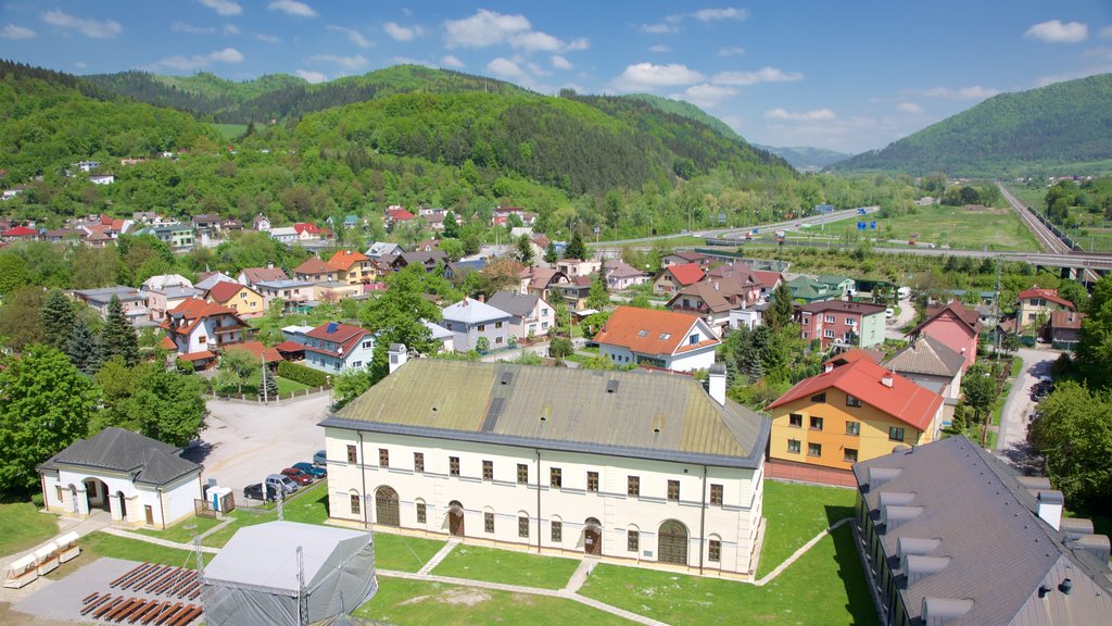 Budatin Castle which includes a park and a city