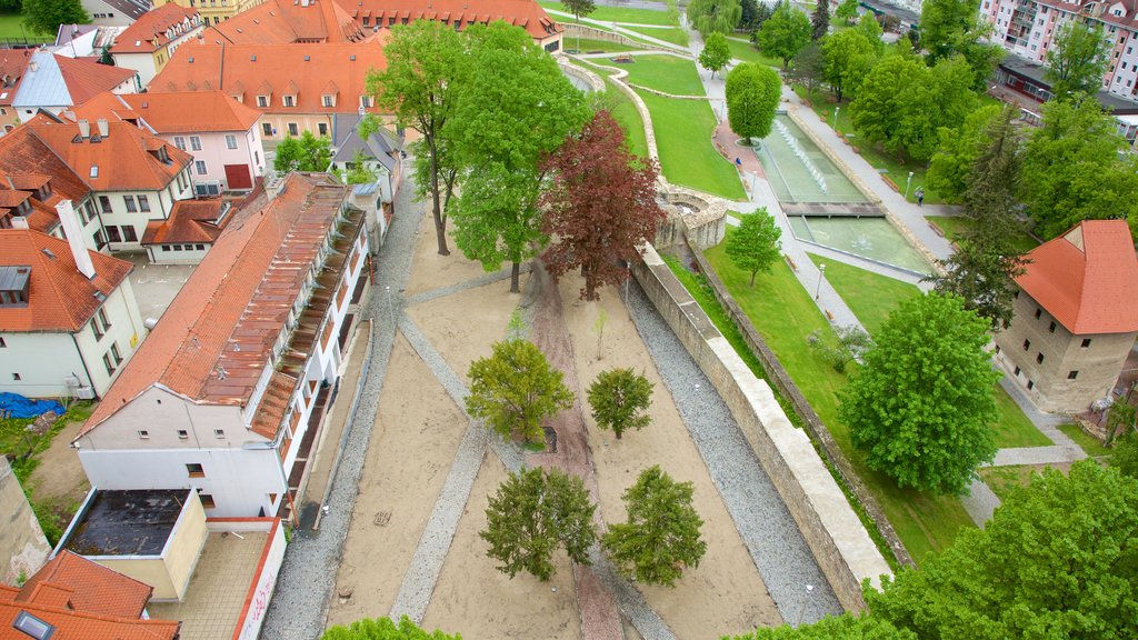 Bardejov Square featuring a park